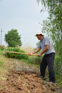 锄地干农活