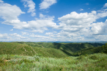 田野