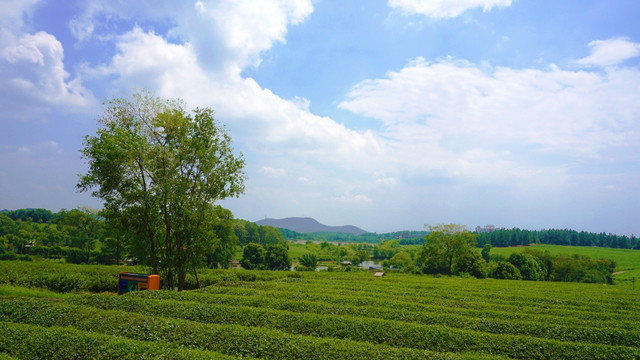 葡萄沟景区