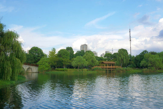 湖畔风景