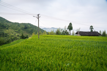 山区早晨