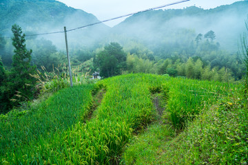 山区早晨