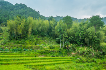 山区早晨