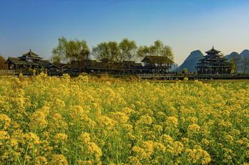 山寨春韵