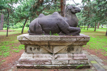 清福陵石像生骆驼右侧全图雕像