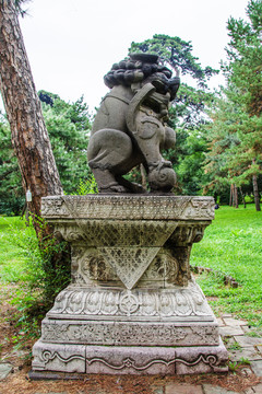 清福陵石像生狮子右侧全图雕塑