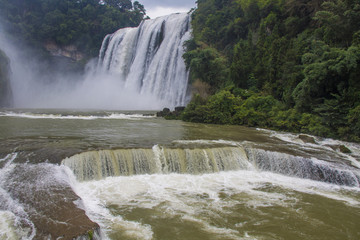 黄果树