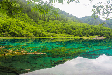 九寨沟