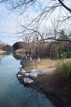 上海闵行黎安公园水景