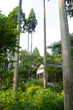 日本寺庙清水寺