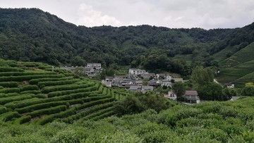 杭州十里琅珰山