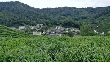 杭州十里琅珰山