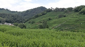 杭州十里瑯珰山