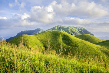 美丽的草原