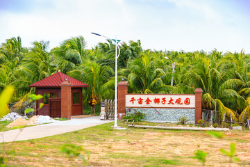 中国海南兴隆千亩金椰子大观园