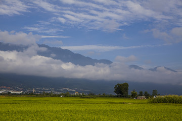 乡村美景