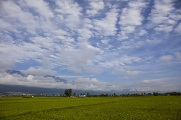 乡村美景