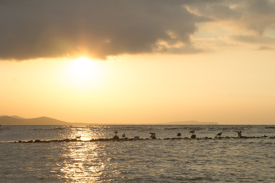 大连夏家河子海上日落晚霞