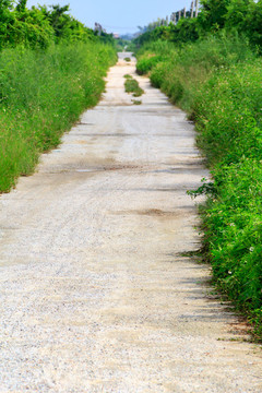 绿草砂石路面