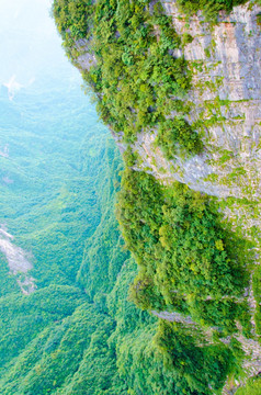 栈道