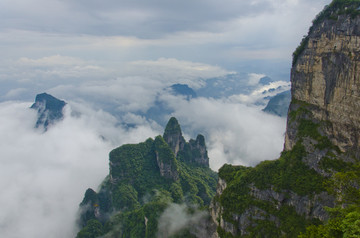 高山云雾