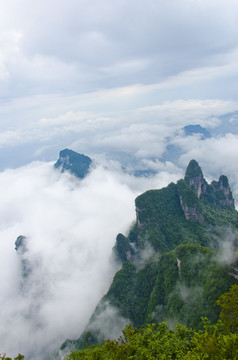 高山云雾