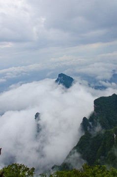 高山云雾