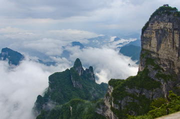 高山云雾