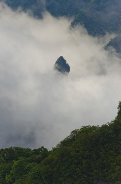 高山云雾