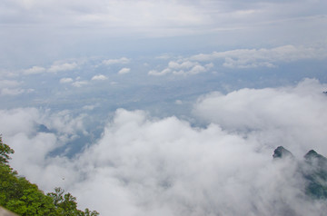 高山云雾