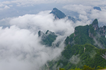 高山云霧