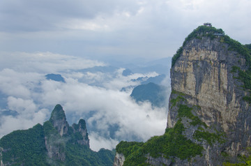 高山云雾