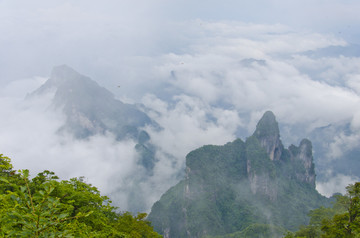 高山云雾