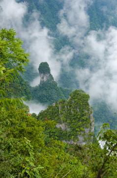 高山云雾