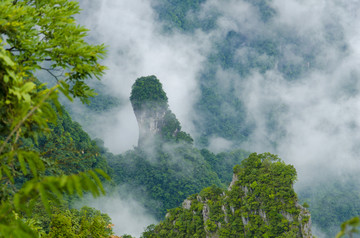 高山云雾