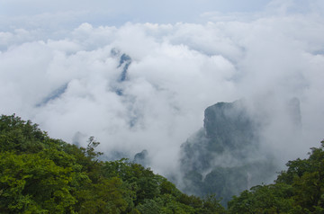 高山云雾