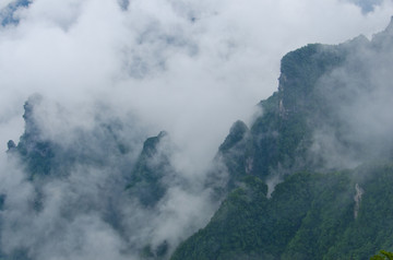 高山云雾