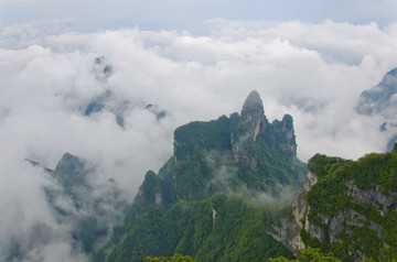 高山云雾