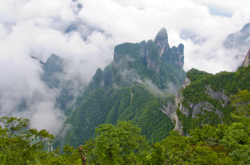 高山云雾