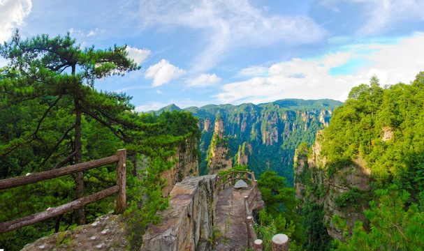 天子山全景图