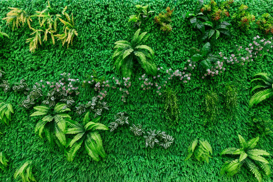 綠植背景墻