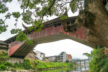 泰顺廊桥