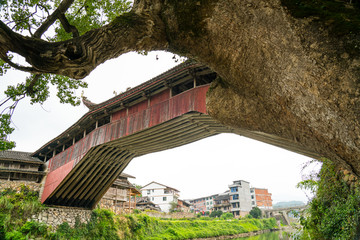 泰顺廊桥