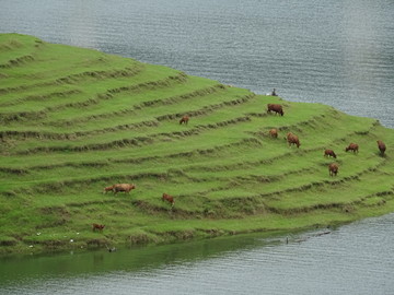 澜沧江