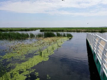 湿地公园