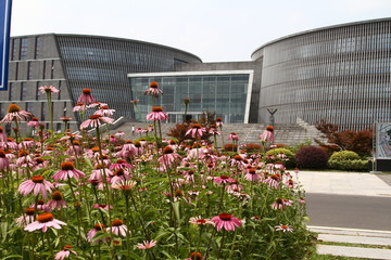 南京大学图书馆