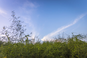 自然风景天空云彩