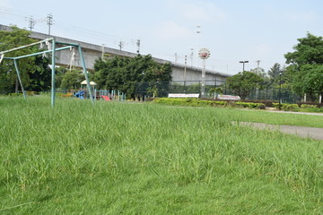 杂草丛生的足球场