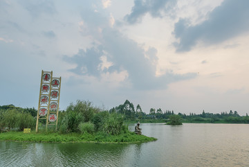 湿地公园花卉芦苇水面