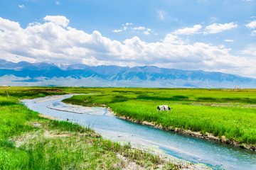 高家湖风光